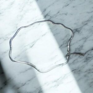 Stainless steel necklace. Totally new. Necklaces, accessories.